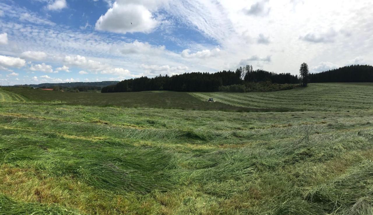 迪曼斯瑞德Bauer Haug公寓 外观 照片